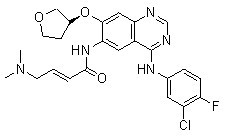 BIBW 2992